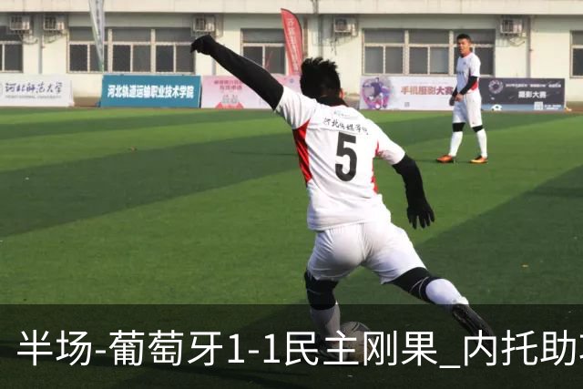 半场-葡萄牙1-1民主刚果 内托助攻若昂·内维斯破门维萨补时扳平