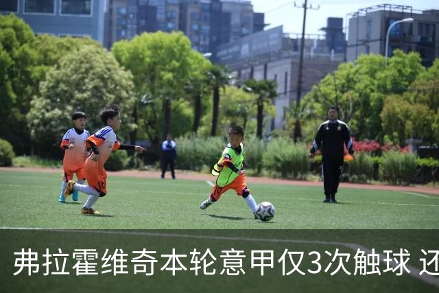 弗拉霍维奇本轮意甲仅3次触球 还经常抱怨队友